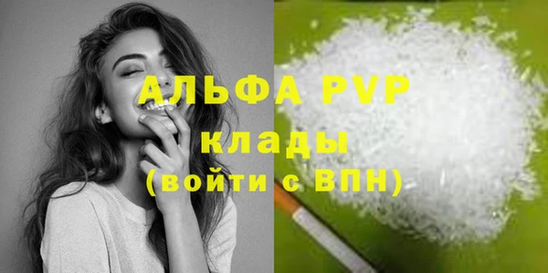 ECSTASY Белокуриха