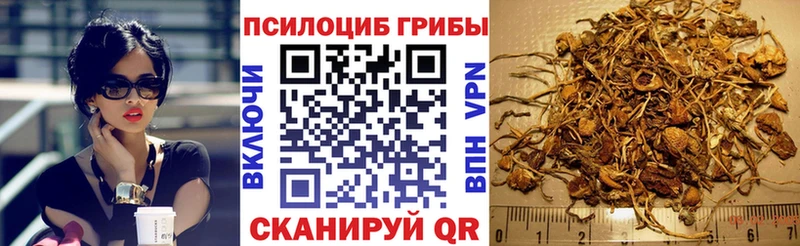Купить закладки  Обь  Псилоцибиновые грибы прущие грибы 